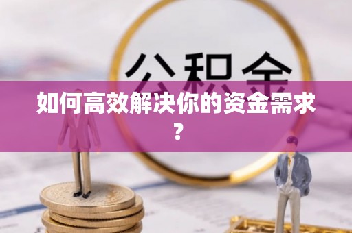 嘉鱼如何高效解决你的资金需求？