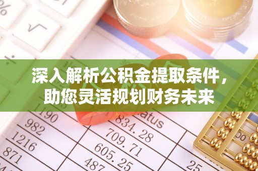 嘉鱼深入解析公积金提取条件，助您灵活规划财务未来