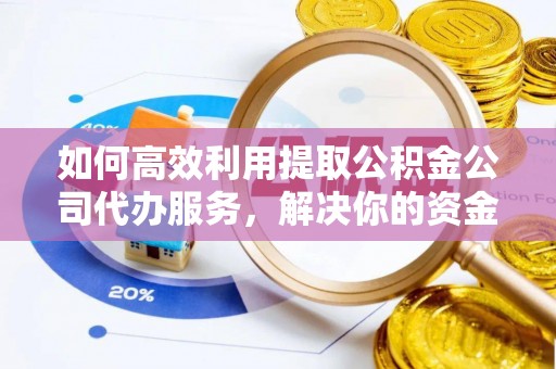 嘉鱼如何高效利用提取公积金公司代办服务，解决你的资金难题