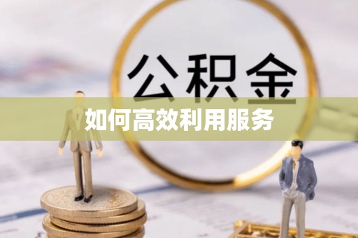 嘉鱼如何高效利用服务