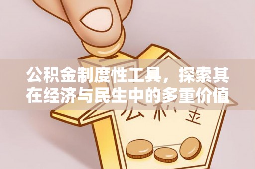 嘉鱼公积金制度性工具，探索其在经济与民生中的多重价值