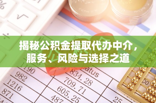 嘉鱼揭秘公积金提取代办中介，服务、风险与选择之道
