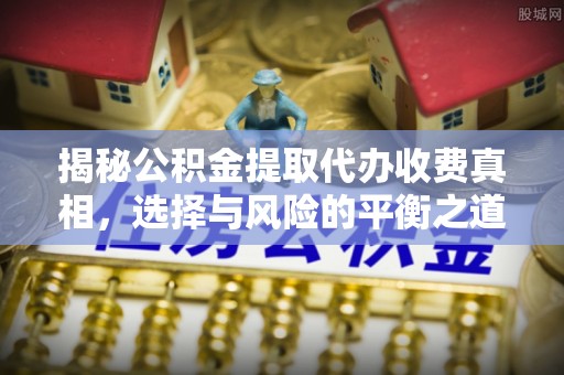嘉鱼揭秘公积金提取代办收费真相，选择与风险的平衡之道
